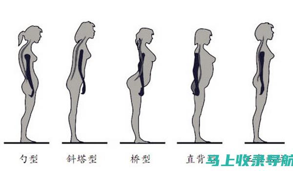 站长职业生涯概览：从入门到精通的简历全解析